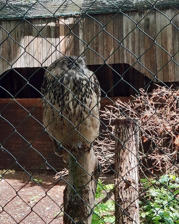 Café Manege im Tierpark Nadermann